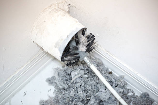 Best Home Air Vent Cleaning  in Arcadia, LA